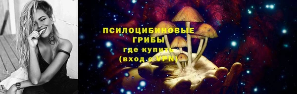 шишки Алексеевка