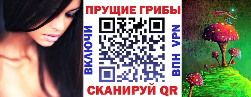 купить  сайты  Лесосибирск  Галлюциногенные грибы Psilocybe 