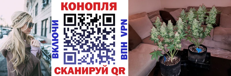Шишки марихуана планчик  МЕГА сайт  Лесосибирск 